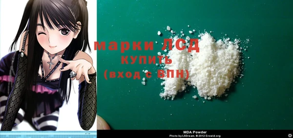сатива Коряжма