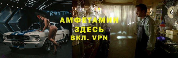 ГАЛЛЮЦИНОГЕННЫЕ ГРИБЫ Корсаков