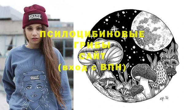 дурь Козельск