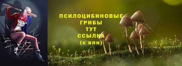 дурь Козельск