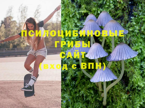 jwh Михайловск