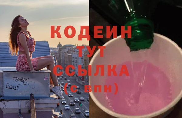 ГАЛЛЮЦИНОГЕННЫЕ ГРИБЫ Корсаков