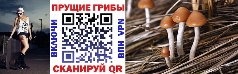 Псилоцибиновые грибы Cubensis  нарко площадка какой сайт  Костерёво  купить закладку 